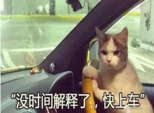 2025老司機快來按摩店預約理想的女生，每月都會新進的女生