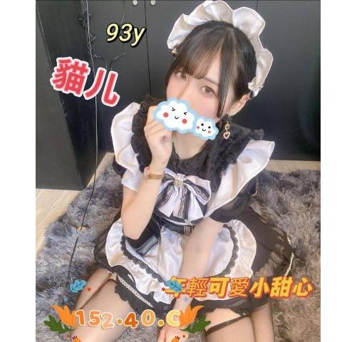 芯苑會館 ： 舒壓會館:貓兒